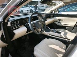 بي واي دي كوين L DM-i